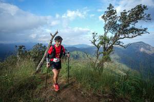 BIB: 
                            <button type="button" onclick="openModal(22373514)" class="btn btn-primary btn-sm float-right btn-popup" data-toggle="modal" data-target=".modal-high-quality">
                        <i class="fas fa-shopping-cart"></i> Add to Cart
                    </button>
                                            <button type="button" onclick="isThisMe(22373514, true)" class="btn btn-success btn-sm float-right btn-popup btn-isme hidden" data-toggle="tooltip" data-placement="bottom" title="นี่คือรูปของคุณใช่ไหม คลิกที่นี่เพื่อเอาเข้าอัลบั้ม">
                        <i class="fas fa-plus"></i> Add to album
                    </button>
                    <button type="button" onclick="isThisMe(22373514, false)" class="btn btn-warning btn-sm float-right btn-popup btn-isnotme hidden">
                        <i class="fas fa-ban"></i> Remove from album
                    </button>